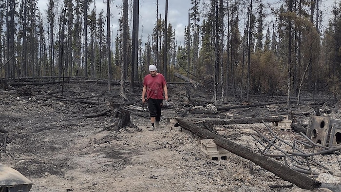 Langis Chachai marche au milieu des arbres brûlés.