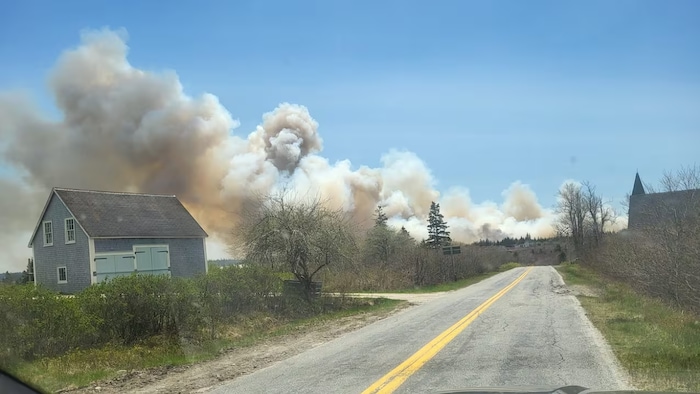 Un panache de fumée au-dessus d'un secteur forestier derrière des maisons.