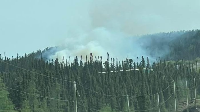 Un panache de fumée émerge d'une forêt composée majoritairement de conifères, près d'une route.