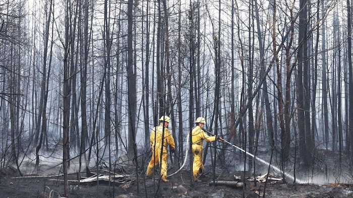 Deux pompiers dans une forêt ravagée arrosent le sol. 