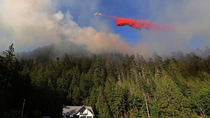 Avion-citerne larguant un liquide rouge sur une forêt enfumée. 