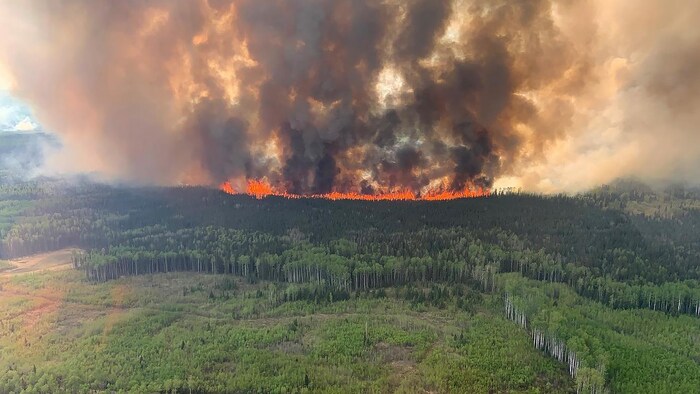 Le feu ravage une forêt.