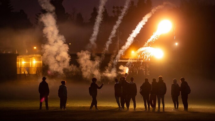 Des gens regardent des feux d'artifice.