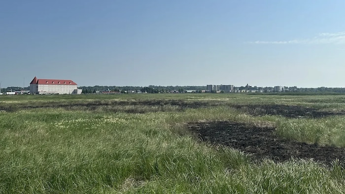 De la végétation devenue noire avec le Château Moncton en arrière plan. 