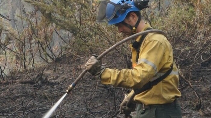 Un pompier muni d'une lance à eau arrose de la végétation.