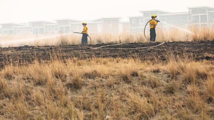 Wildfire firefighters work to put out hotspots from the McDougall Creek wildfire near homes in West Kelowna on Sunday. (Justine Boulin/CBC News)