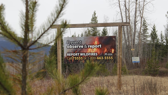 Un panneau au bord de route qui demande aux conducteurs d'appeler un numéro de téléphone pour dire s'ils voient des feux de forêt.