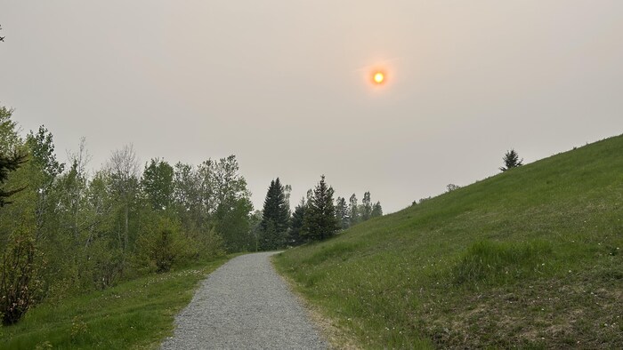 La fumée de feux de forêt forme un voile dans le ciel.