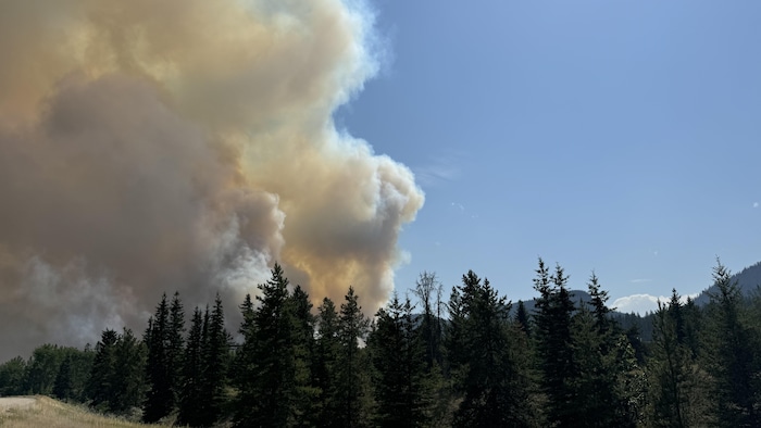 La fumée des feux de forêt : un cocktail nocif | Radio-Canada