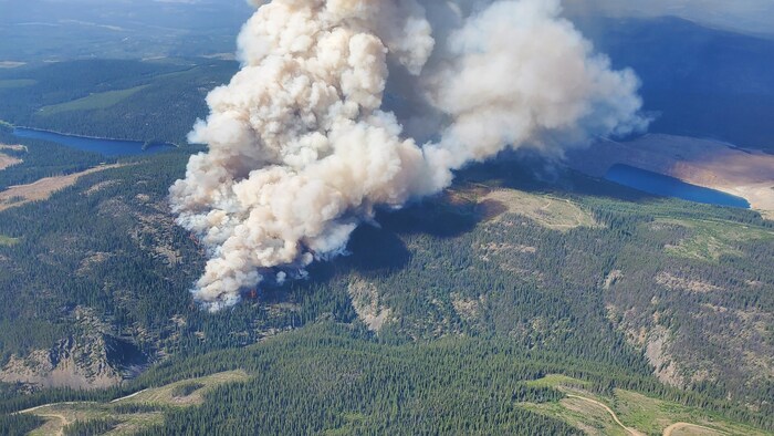 Un panache de fumée s'échappe d'une forêt.