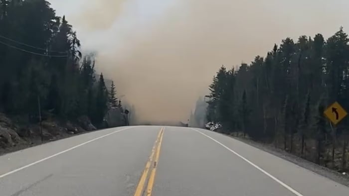 Une route passe dans une forêt.