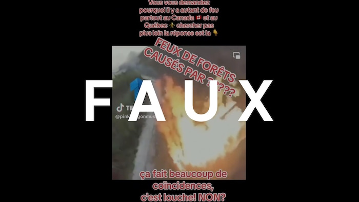 Capture d'écran d'une vidéo TikTok où il est écrit « Vous vous demandez pourquoi il y autant de feux au Québec et au Canada? Chercher pas plus loin, la réponse est la ». On voit des flammes au-dessus d'une forêt.