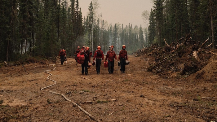 Des pompiers forestiers travaillent sur un pare-feu.