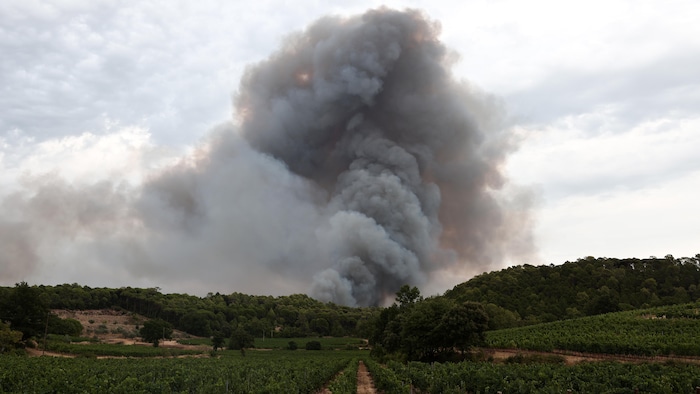 De la fumée s'élève dans le ciel à Correns, dans le sud-est de la France, le 31 juillet 2026.