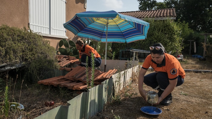Des membres de la Réserve communale de sécurité civile de Légué-Cap-Ferret remplissent un bol d’eau près de l’enclos d’une tortue, alors qu’ils vérifient l'état de santé des animaux de compagnie.