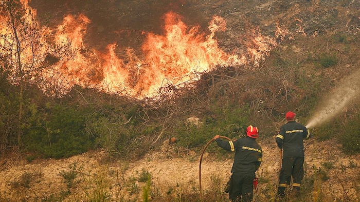 Des pompiers s'efforcent d'éteindre un incendie de forêt près du village de Siviri, dans le nord de la Grèce, le 13 août 2026.