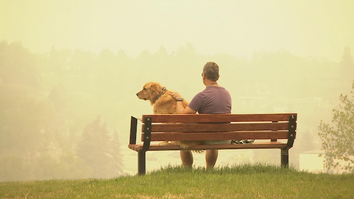 Un homme et son chien sont assis sur un banc situé sur une colline surplombant Calgary. Une épaisse fumée de feu de forêt s'abat sur la ville.