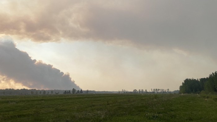 Deux panaches de fumée, provenant des feux en Abitibi-Ouest et en Ontario, étaient visibles depuis Normétal en soirée le 6 juin.