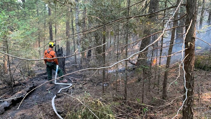Un pompier qui combat le feu dans une forêt. 