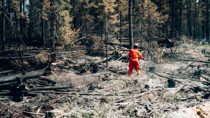 A firefighter extinguishes the last embers at the site of a forest fire in Chapais, Que.