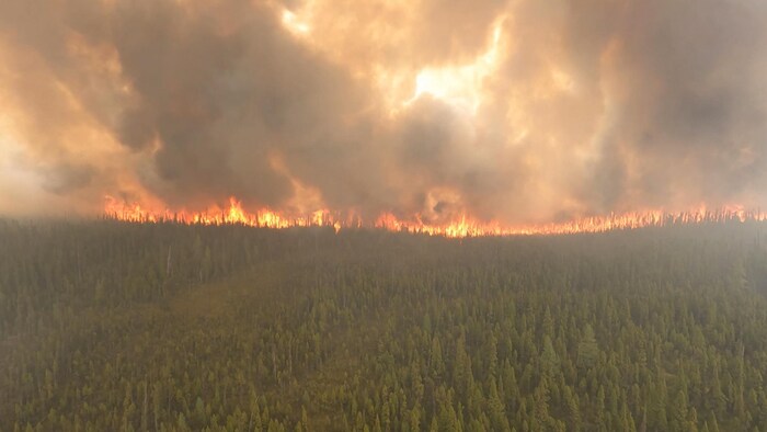 دخان كثيف يتصاعد من حريق غابات.