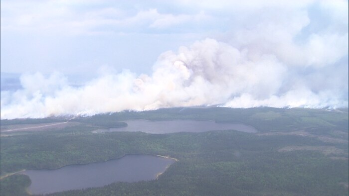 Photo aérienne d'un feu de forêt.
