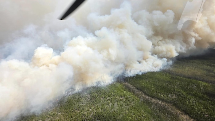 Une vue aérienne d'un feu de forêt