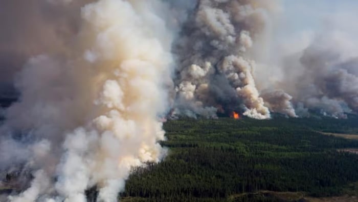 The Kiskatinaw River forest fire on June 8, 2025. Large plumes of smoke rides in the sky from forest areas.