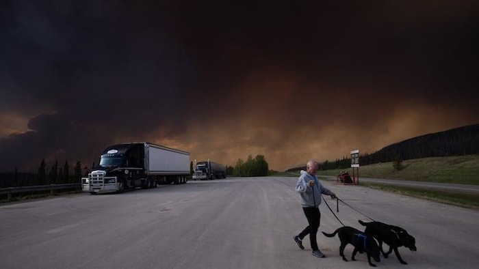 Un maître et ses chiens marchant sur la route dans un panache de fumée sombre.