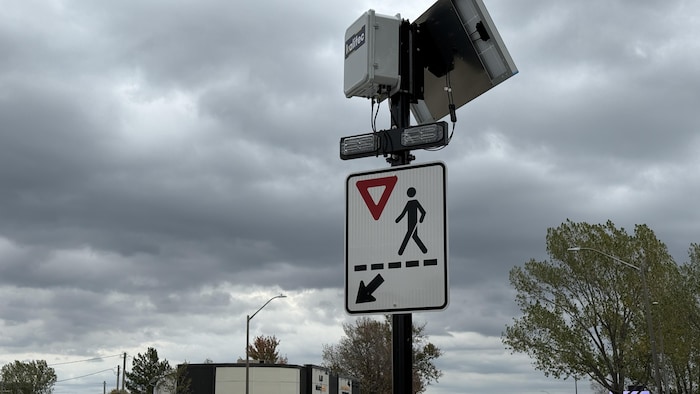 Des feux rectangulaires à clignotement rapide sont installés pour renforcer la sécurité aux abords des passages pour piétons.