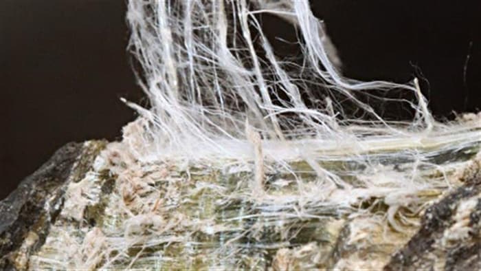 Fibre d'amiante chrysotile