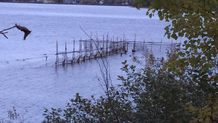 Des filets maillants dans la rivière Miramichi.