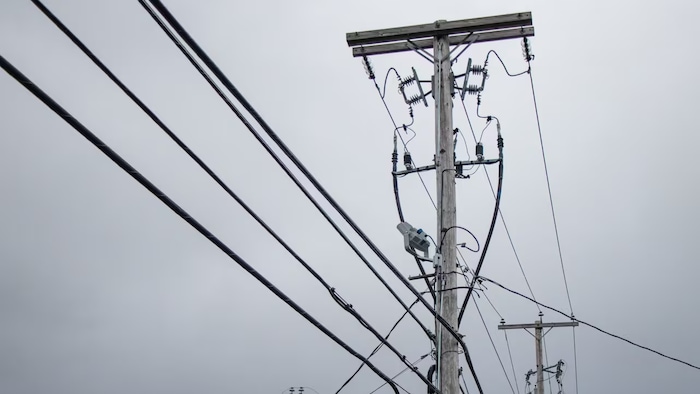 Des fils électriques.