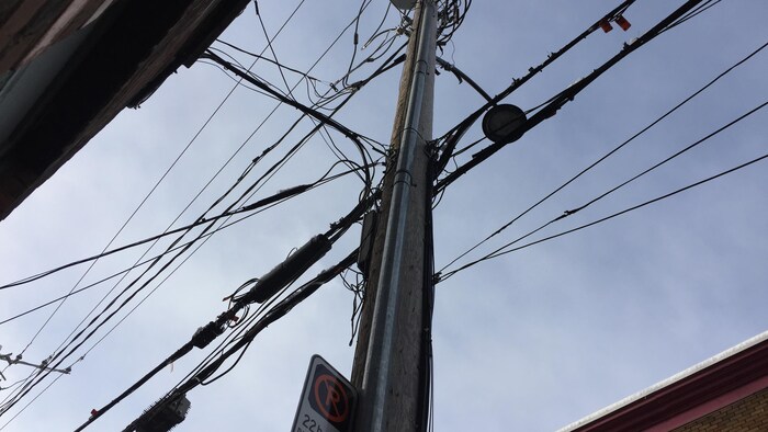 Plaidoyer pour l'enfouissement des fils électriques à Québec | Radio-Canada