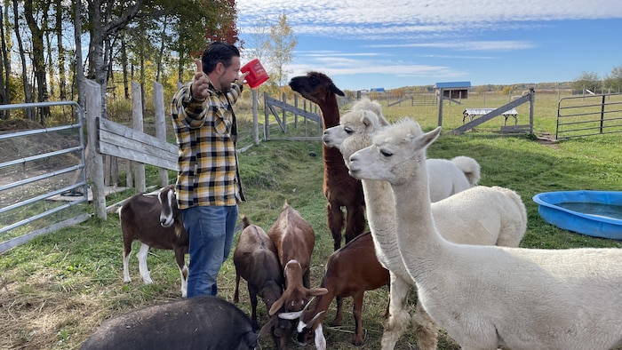 Nathan Sckopke avec ses chèvres à Sckopke Farms, à St-Charles, près de Sudbury.