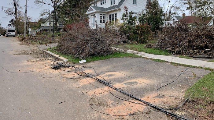 Des amas de branches cassées réunies en plusieurs endroits sur le gazon, du bran de scie et des fils électriques dans la rue et sur le trottoir.