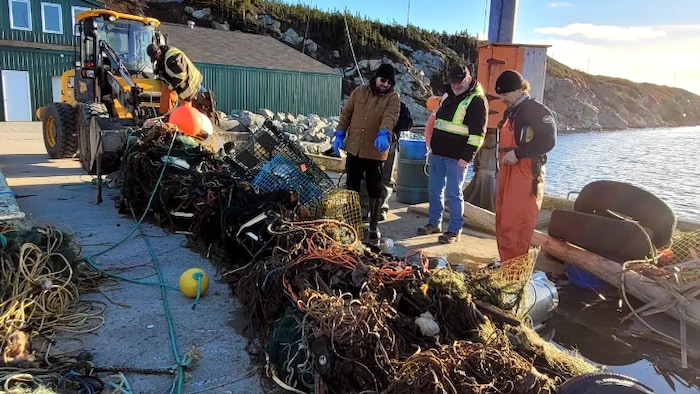 Pin's Vintage Terre-Neuve-et-Labrador - Permis De Pêche Au Saumon - Bouton épingle