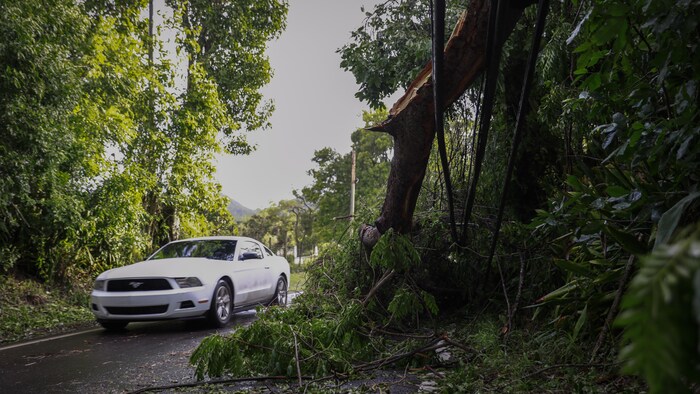 Une voiture circule entre des arbres tombés au milieu de la route.