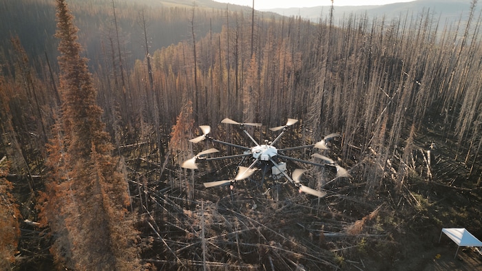Un drone de Flash Forest survole une forêt brûlée dans l’Ouest.