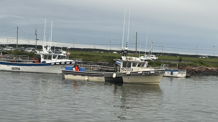 Deux bateaux.