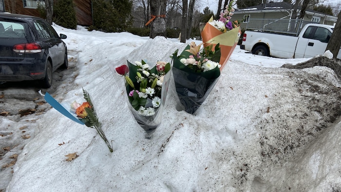 Des bouquets de fleurs dans la neige