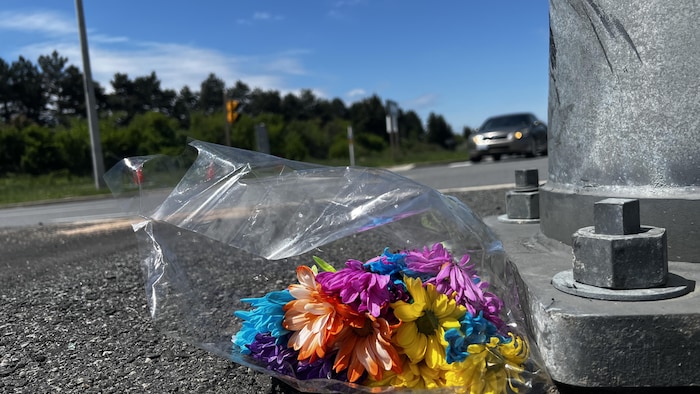 À l'intersection de la rue Renforth et de la bretelle de sortie de l'autoroute 401, un bouquet d'aster de chine est posé.