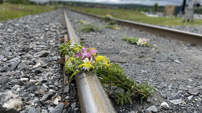 Des fleurs sauvages sur une rail de voie ferrée. 