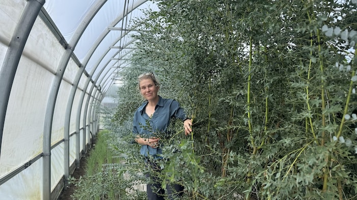 Catherine Gignac se trouve dans des plantes.