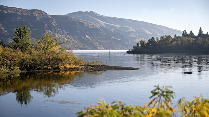 Le fleuve Columbia entouré de petites montagnes et de végétations automnales, en Oregon, aux États-Unis, en 2024.