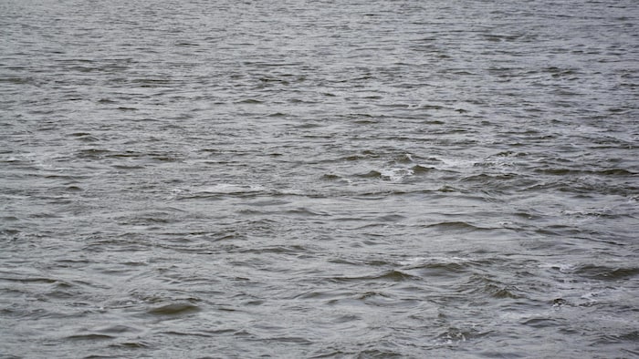 Une étendue d’eau.