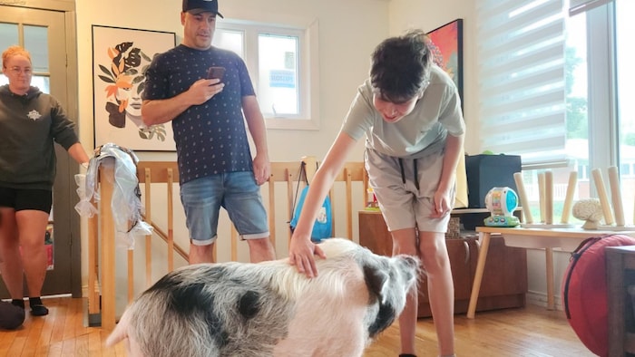 Un adolescent souriant caresse le cochon.