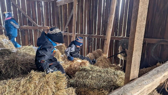 Des enfants jouent et sautent dans le foin.