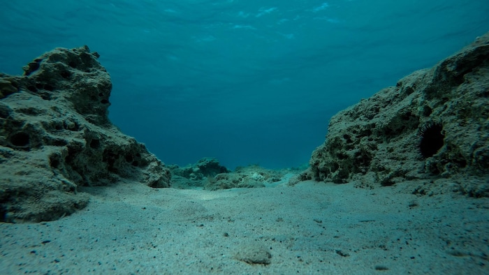 The bottom of the desert sea.