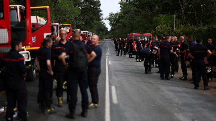 Des pompiers sur une route entourée d'une forêt.